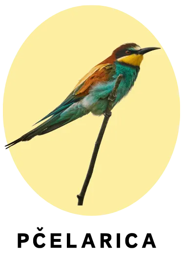Pčelarica