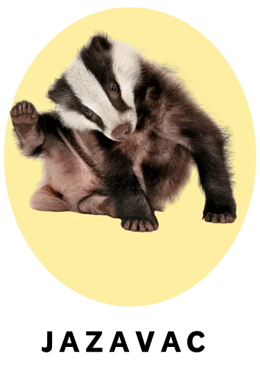 Jazavac