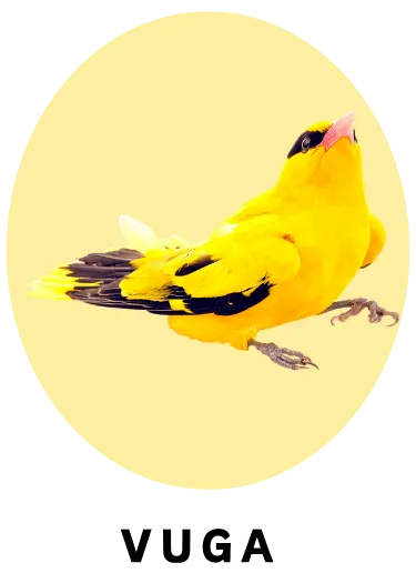 Vuga
